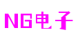 广东省广州市NG电子网络科技有限公司